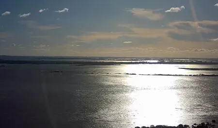 Câmera ao vivo Câmera ao vivo Porto Alegre